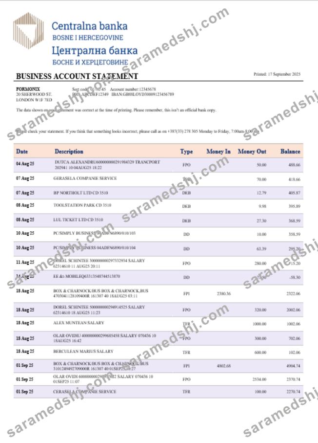 Central business bank statement Word and PDF format